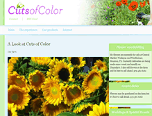 Tablet Screenshot of cutsofcolor.com